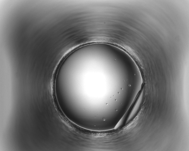 X0000096430846200801311431