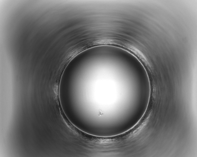 X0000096430849200801311431