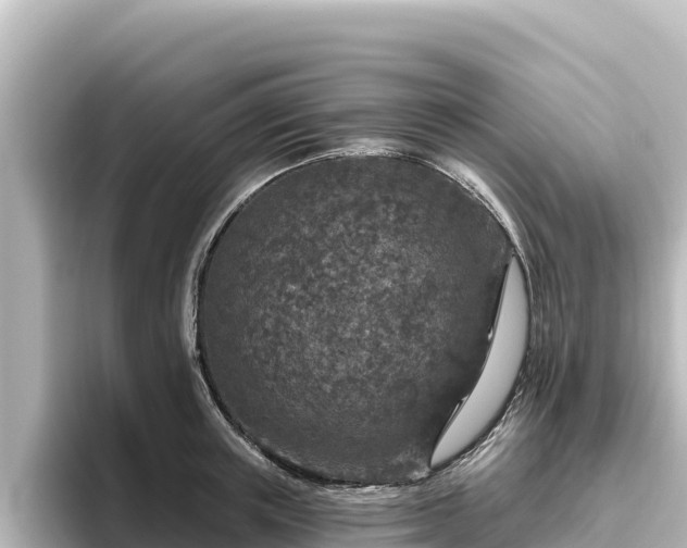 X0000096430851200801311431