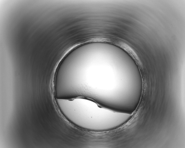 X0000096430852200801311431