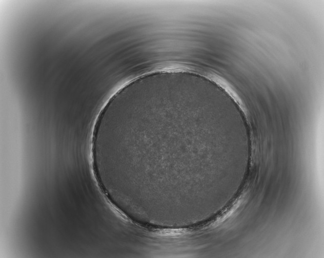 X0000096430853200801311431