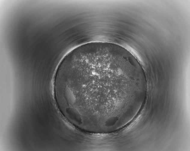 X0000096430854200801311431
