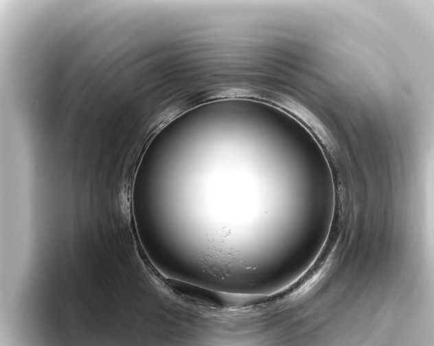 X0000096430857200801311431