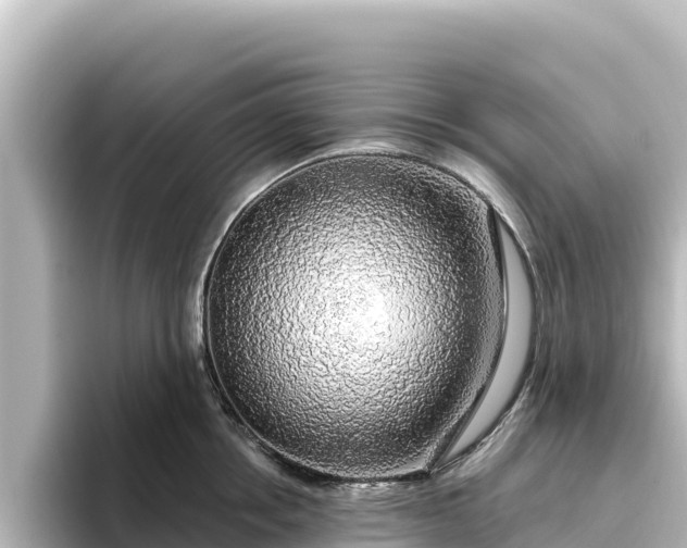 X0000096430858200801311431