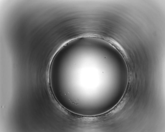 X0000096430860200801311431