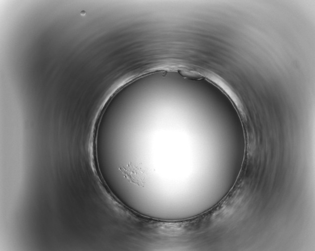 X0000096430861200801311431