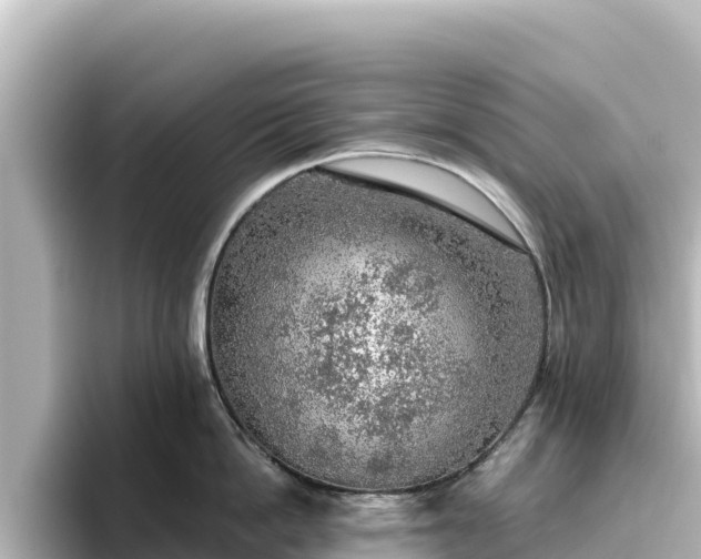 X0000096430862200801311431