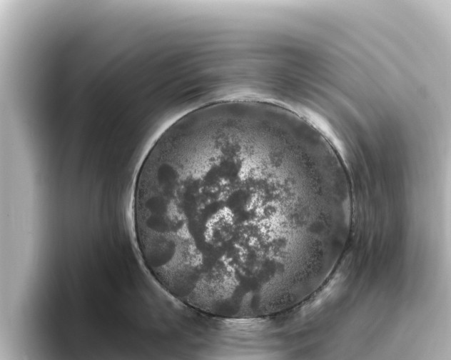 X0000096430863200801311431