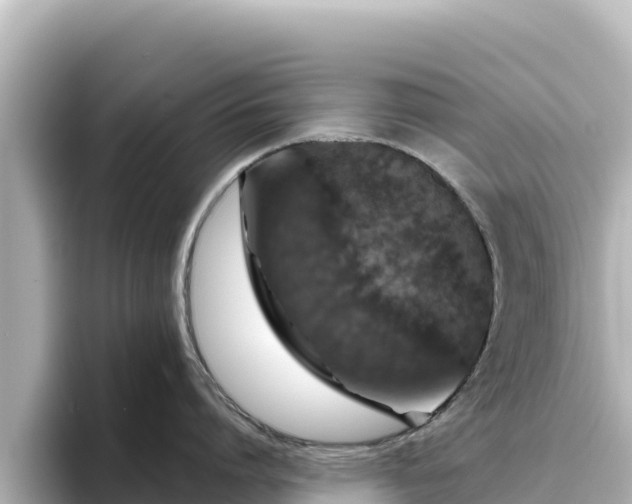 X0000096430864200801311431