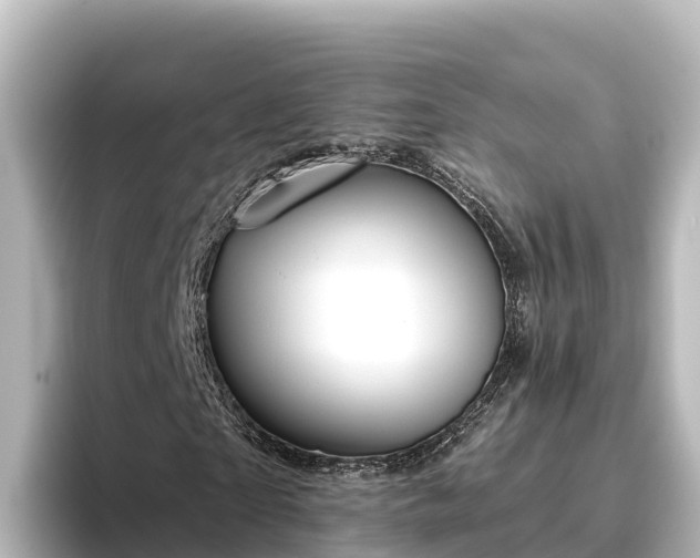 X0000096430865200801311430