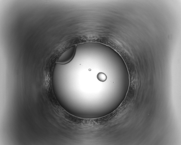 X0000096430866200801311430