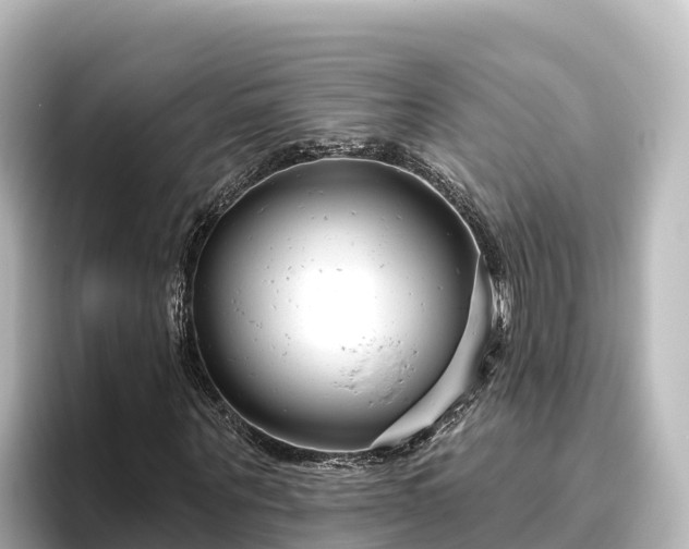 X0000096430867200801311430