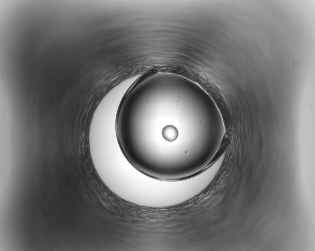 X0000096430868200801311430