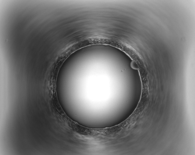 X0000096430870200801311430