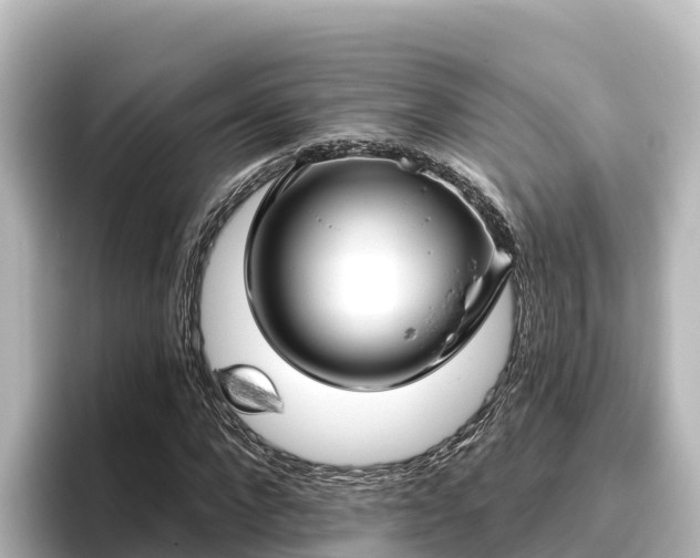 X0000096430872200801311430