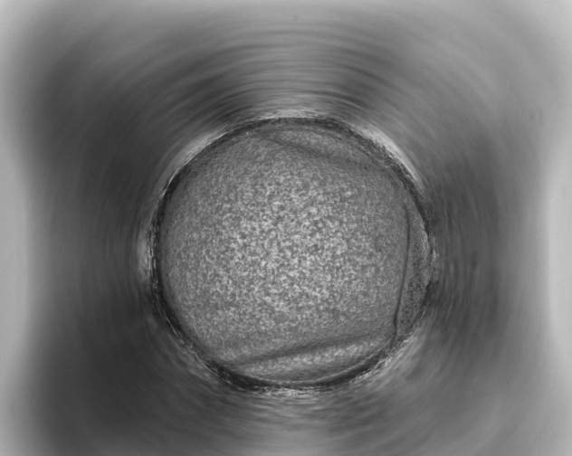 X0000096430874200801311430