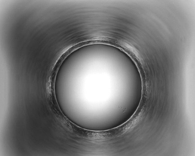 X0000096430875200801311430