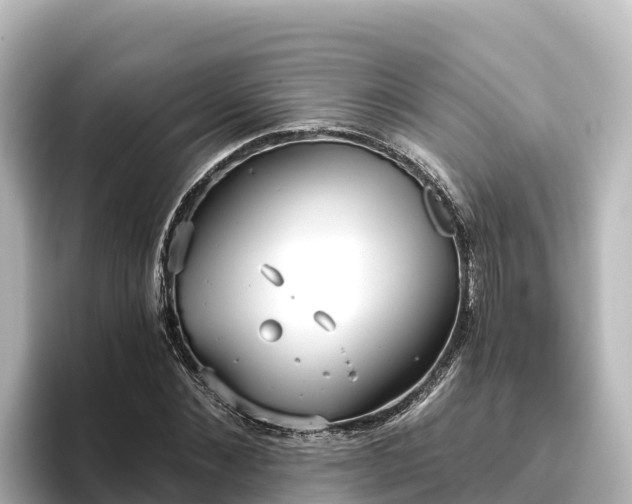 X0000096430876200801311430