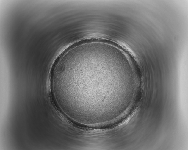 X0000096430877200801311430
