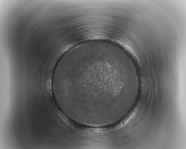 X0000096430881200801311430