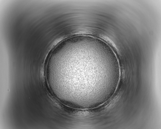 X0000096430882200801311430