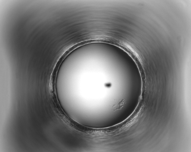 X0000096430883200801311430