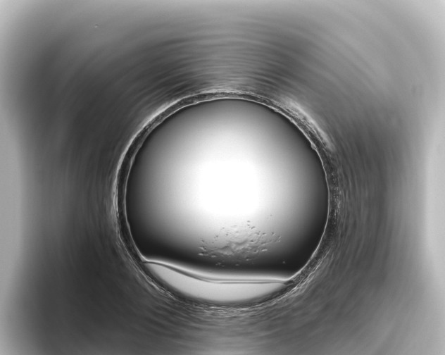 X0000096430884200801311430