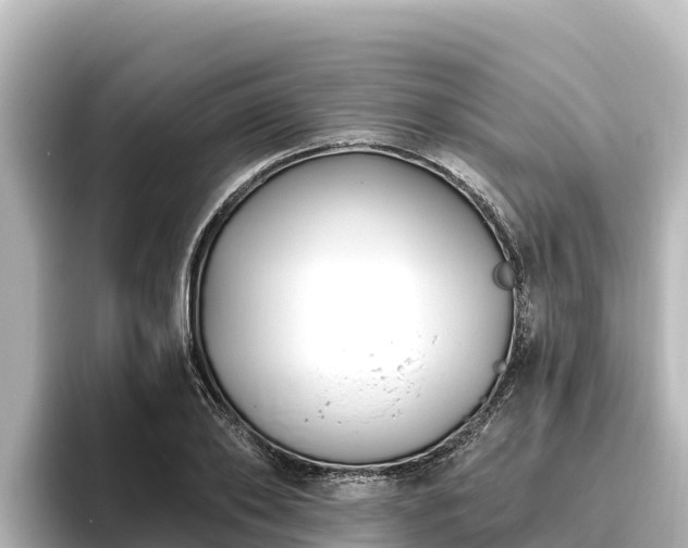 X0000096430886200801311430