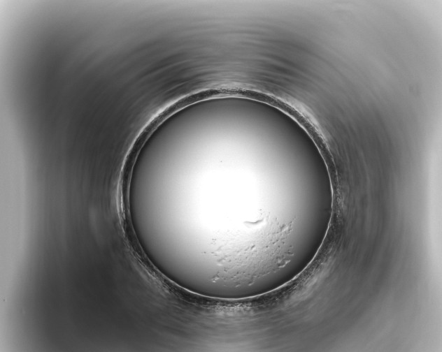 X0000096430887200801311430