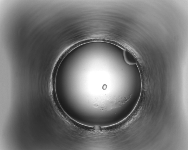 X0000096430888200801311430