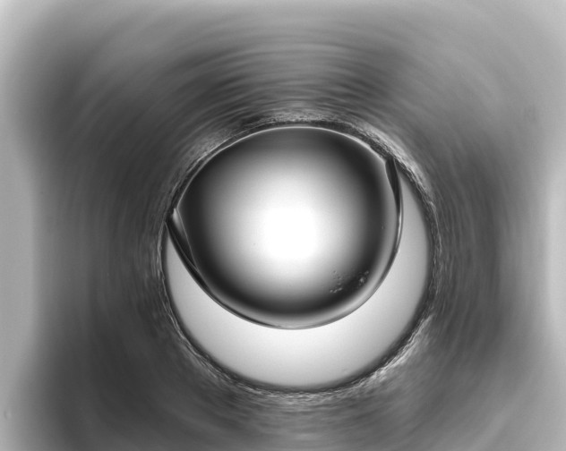 X0000096430889200801311430