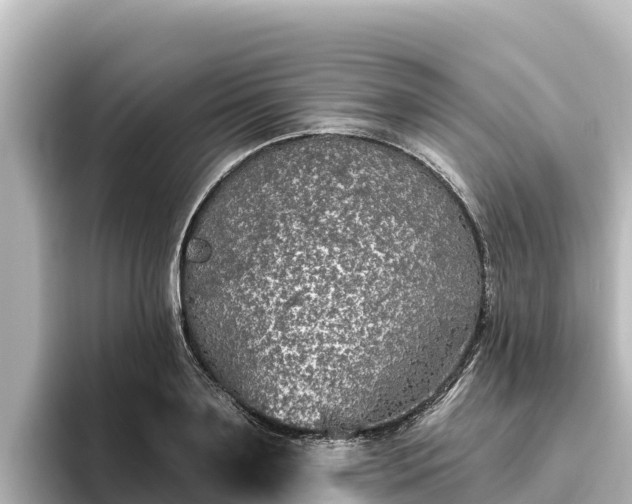 X0000096430891200801311430