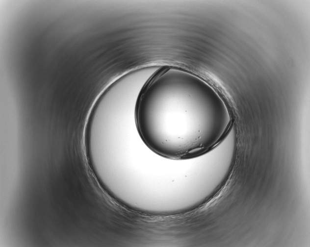 X0000096430892200801311430