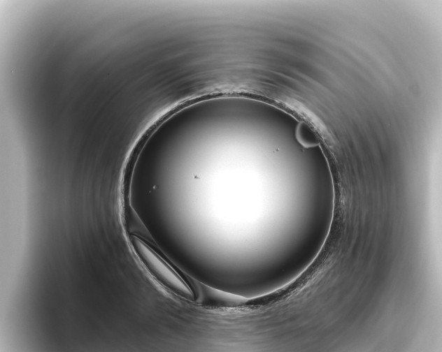 X0000096430894200801311430