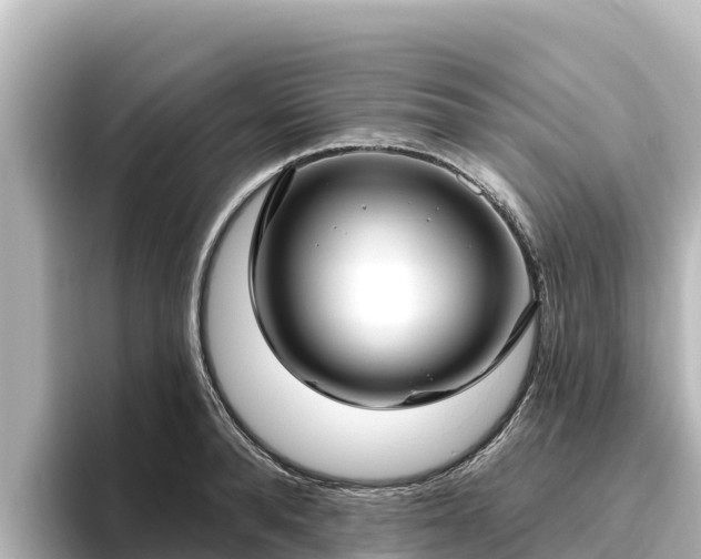 X0000096430896200801311430