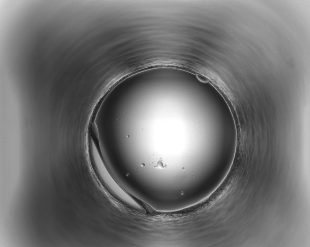 X0000096430898200801311430