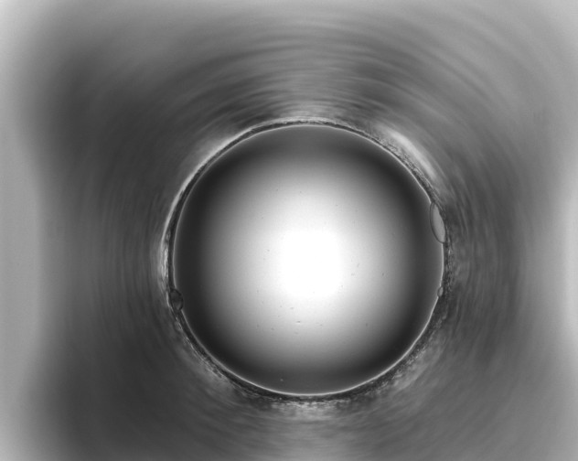 X0000096430900200801311430