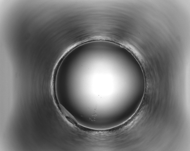 X0000096430902200801311430