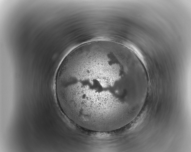 X0000096430907200801311430