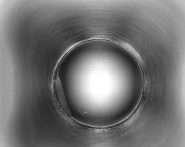 X0000096430908200801311430