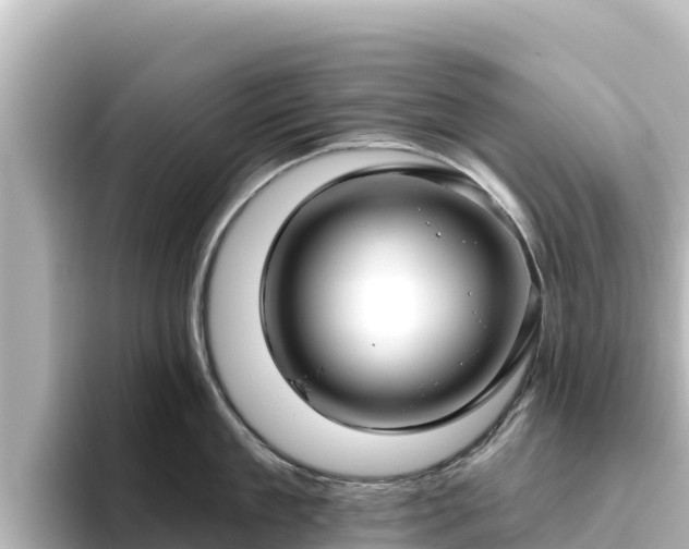 X0000096430909200801311430