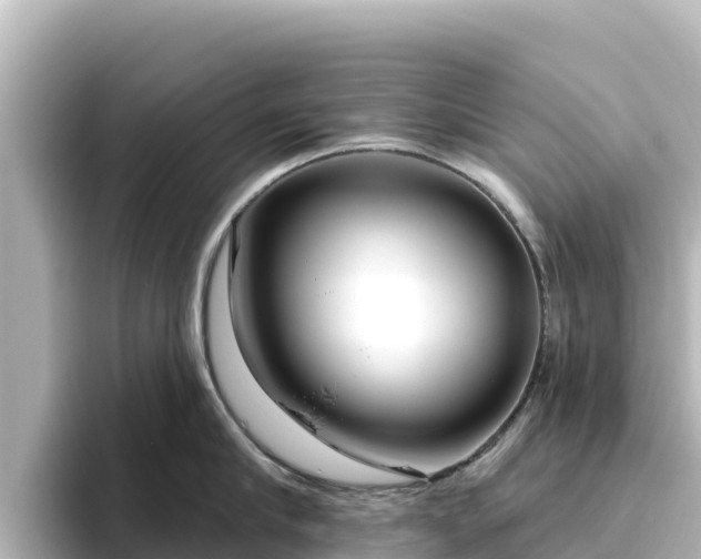 X0000096430910200801311430
