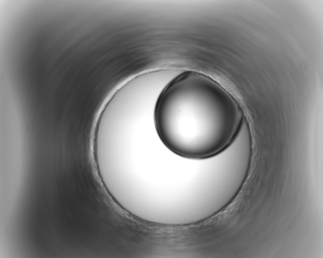 X0000096430912200801311430