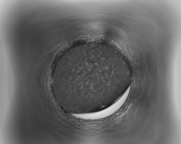 X0000096430913200801311429