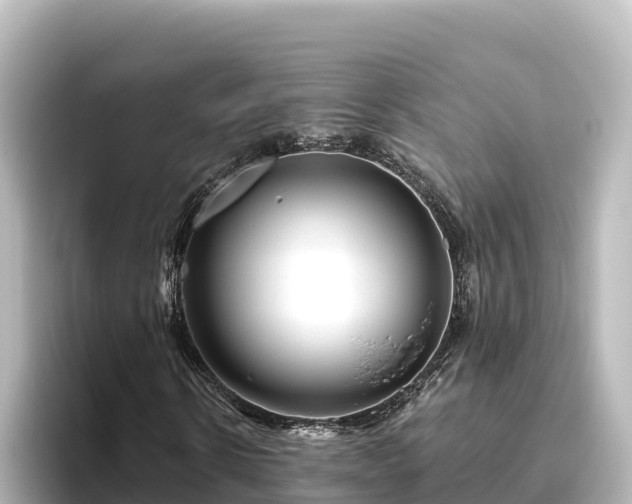 X0000096430914200801311429