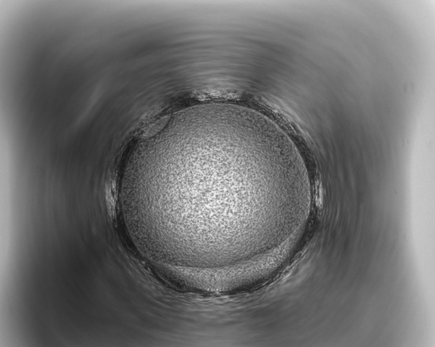 X0000096430915200801311429