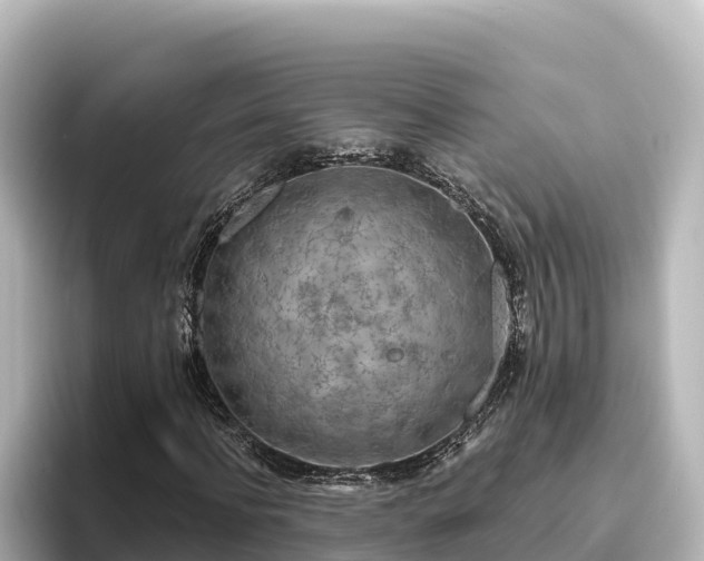 X0000096430916200801311429