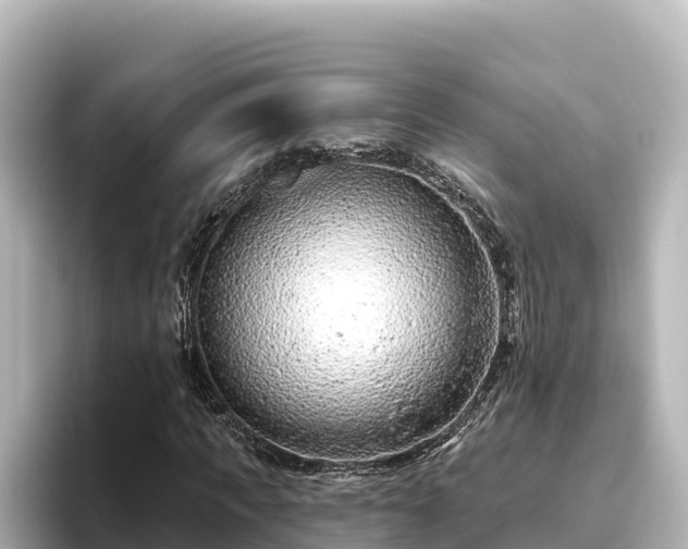 X0000096430917200801311429