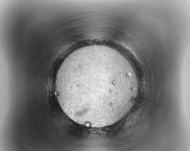 X0000096430918200801311429
