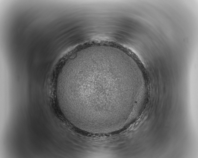 X0000096430919200801311429
